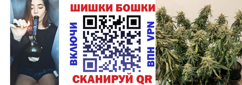 Купить закладку ГАШ  Бошки Шишки  Меф  Фёдоровский