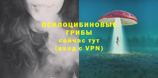 ГАЛЛЮЦИНОГЕННЫЕ ГРИБЫ Гусиноозёрск