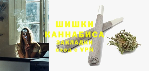 ешки Гусь-Хрустальный
