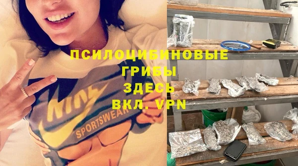 первитин Дмитров