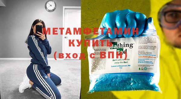 индика Дмитровск