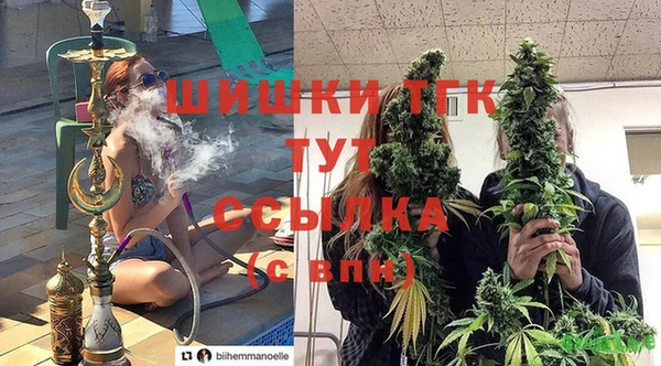 не бодяженный Гусев