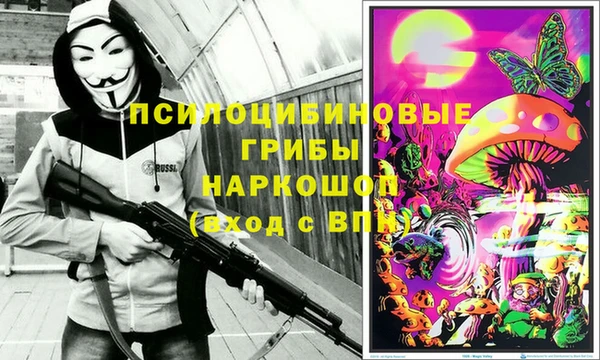 ешки Гусь-Хрустальный