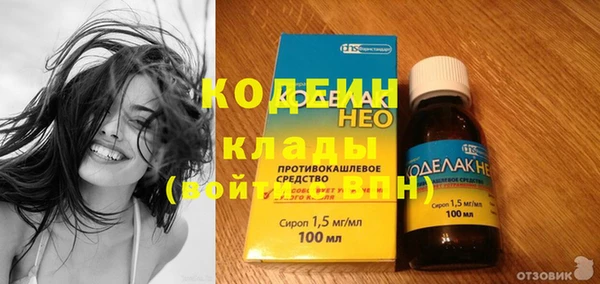 не бодяженный Гусев