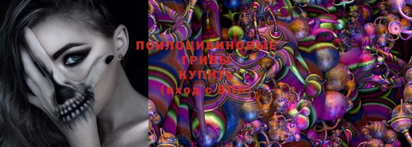 ГАЛЛЮЦИНОГЕННЫЕ ГРИБЫ Гусиноозёрск