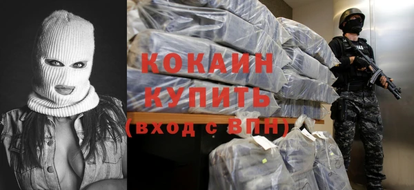 индика Дмитровск