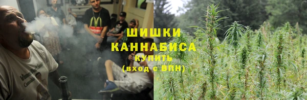 индика Дмитровск