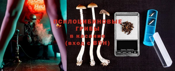 индика Дмитровск